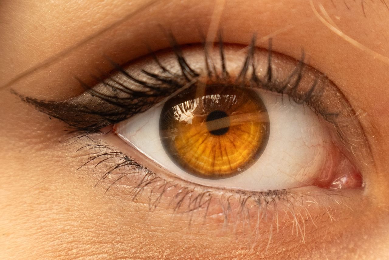 Lash Lift or Extensions? An Honest Comparison