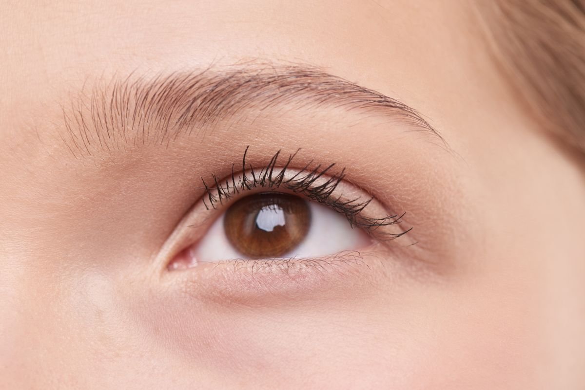 Close up of a naturally shaped, full eyebrow above a bright eye