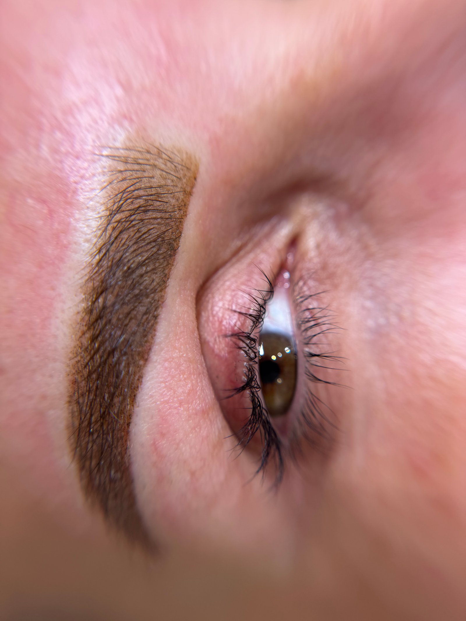 Ombré Powder Brows at Sol Lux Beauty Beverly Hills